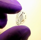 microkteyw1